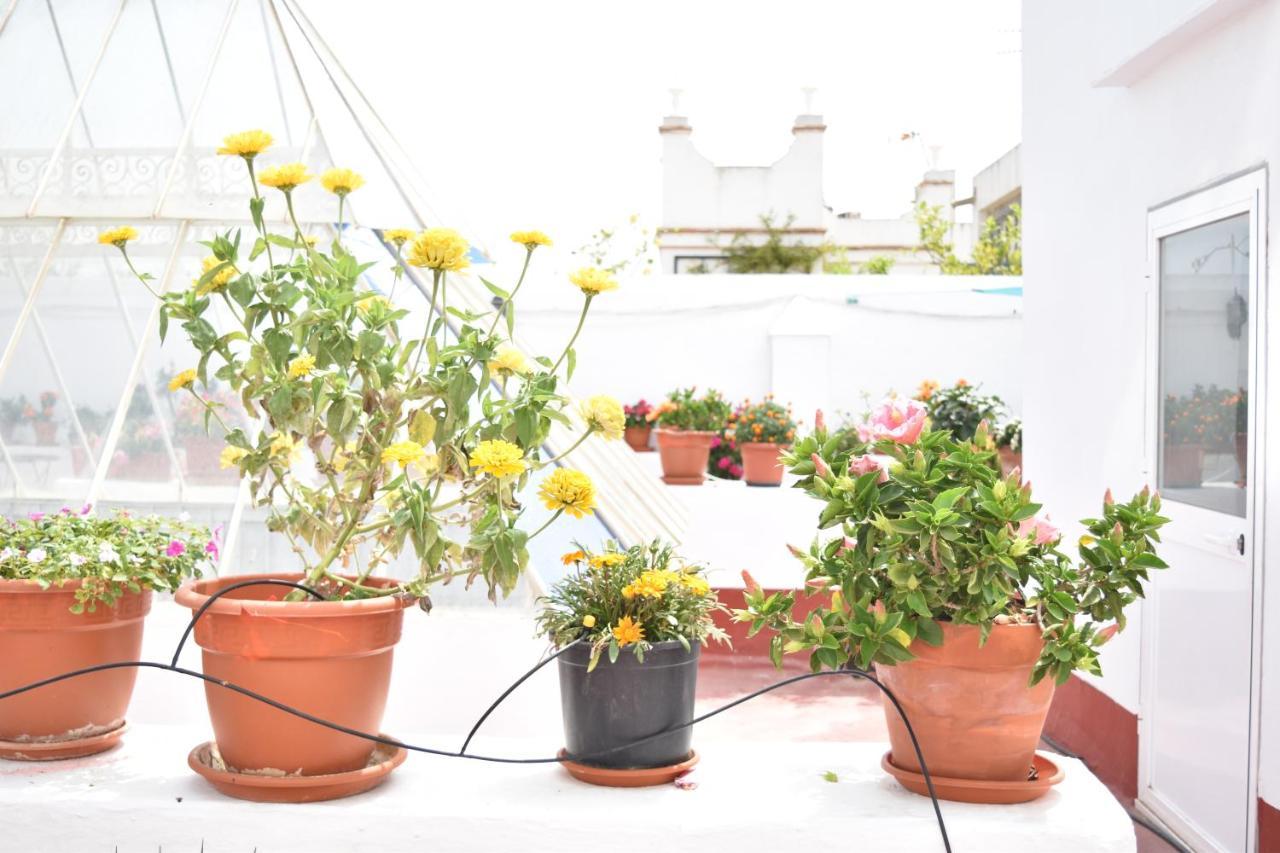 Apartamentos Veedor Cádiz Eksteriør billede