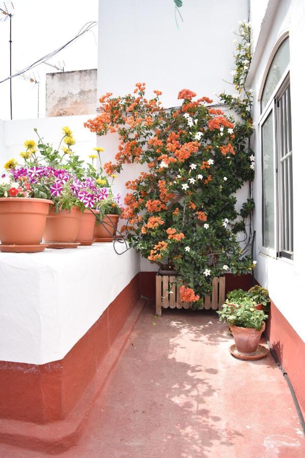 Apartamentos Veedor Cádiz Eksteriør billede